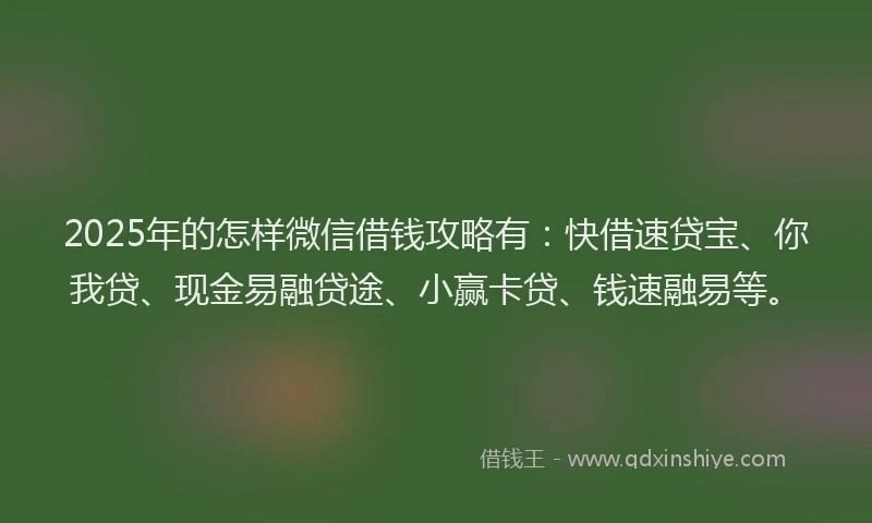 2025年的怎样微信借钱攻略有：快借速贷宝、你我贷、现金易融贷途、小赢卡贷、钱速融易等。