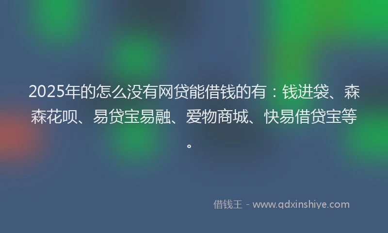 2025年的怎么没有网贷能借钱的有：钱进袋、森森花呗、易贷宝易融、爱物商城、快易借贷宝等。