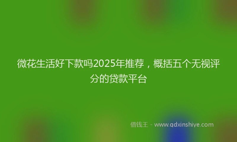 微花生活好下款吗2025年推荐，概括五个无视评分的贷款平台