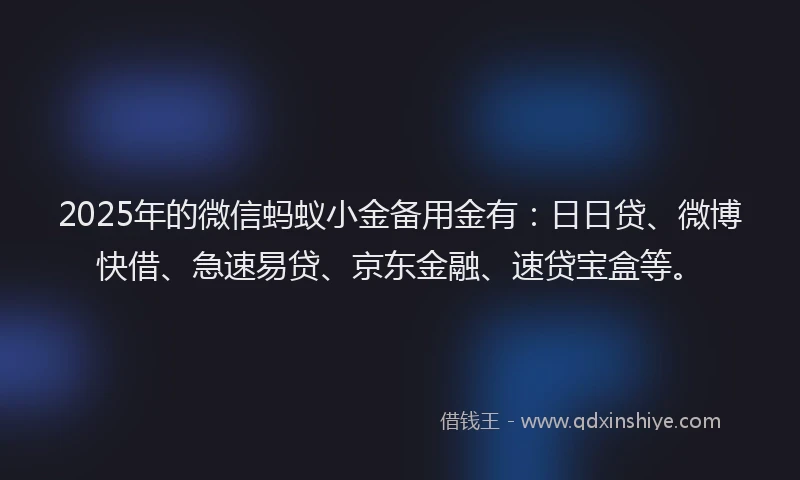 2025年的微信蚂蚁小金备用金有：日日贷、微博快借、急速易贷、京东金融、速贷宝盒等。