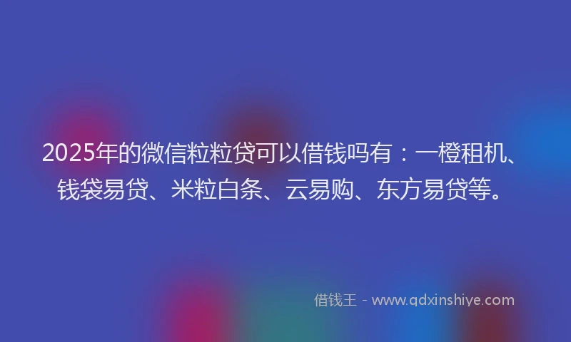 2025年的微信粒粒贷可以借钱吗有：一橙租机、钱袋易贷、米粒白条、云易购、东方易贷等。
