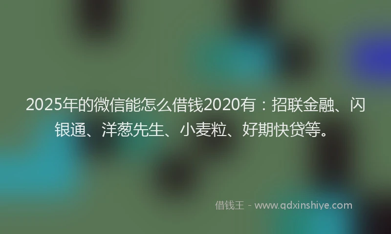 2025年的微信能怎么借钱2020有：招联金融、闪银通、洋葱先生、小麦粒、好期快贷等。