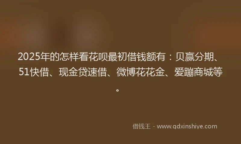 2025年的怎样看花呗最初借钱额有：贝赢分期、51快借、现金贷速借、微博花花金、爱蹦商城等。