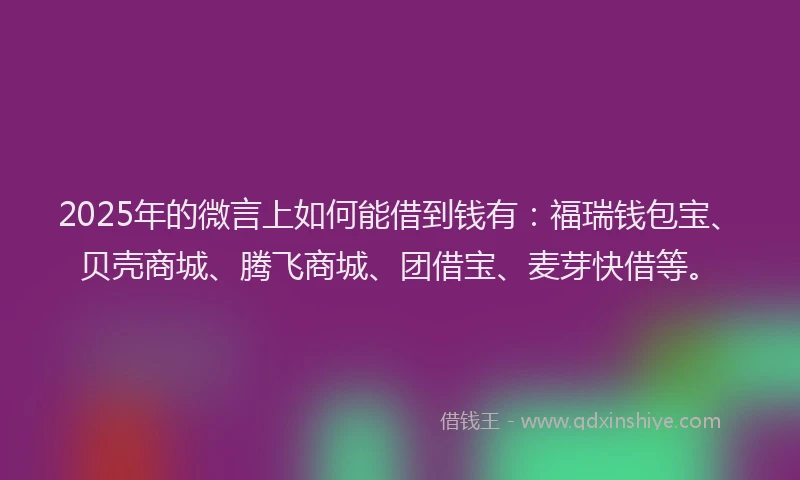 2025年的微言上如何能借到钱有：福瑞钱包宝、贝壳商城、腾飞商城、团借宝、麦芽快借等。