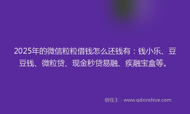 2025年的微信粒粒借钱怎么还钱有：钱小乐、豆豆钱、微粒贷、现金秒贷易融、疾融宝盒等。