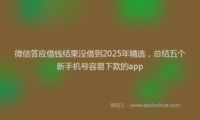 微信答应借钱结果没借到2025年精选，总结五个新手机号容易下款的app