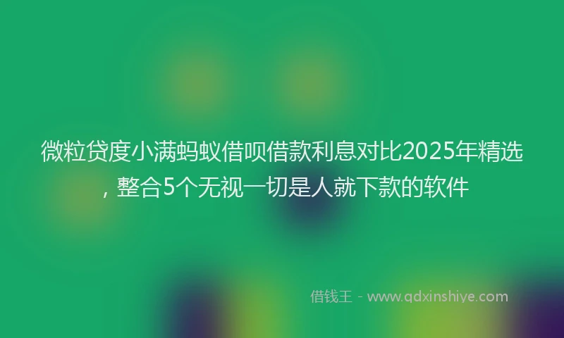微粒贷度小满蚂蚁借呗借款利息对比2025年精选，整合5个无视一切是人就下款的软件