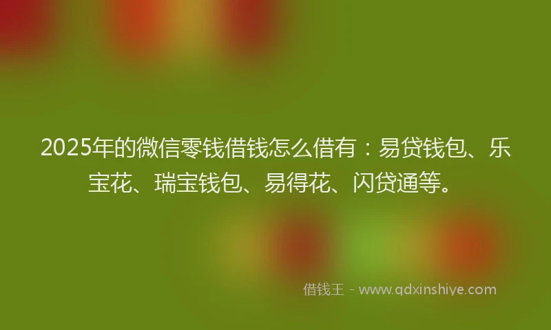 2025年的微信零钱借钱怎么借有：易贷钱包、乐宝花、瑞宝钱包、易得花、闪贷通等。