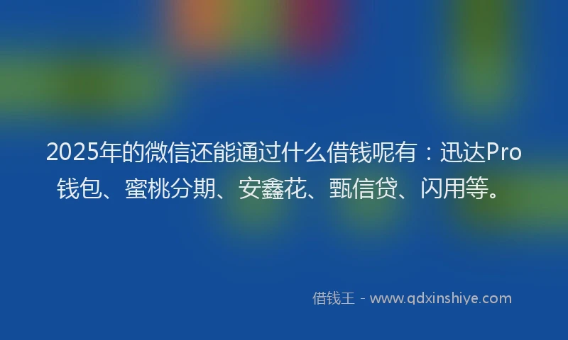 2025年的微信还能通过什么借钱呢有：迅达Pro钱包、蜜桃分期、安鑫花、甄信贷、闪用等。