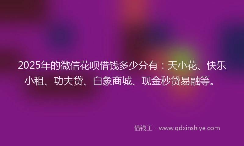 2025年的微信花呗借钱多少分有：天小花、快乐小租、功夫贷、白象商城、现金秒贷易融等。