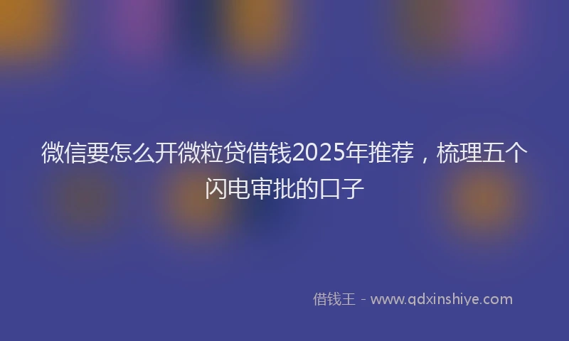 微信要怎么开微粒贷借钱2025年推荐，梳理五个闪电审批的口子