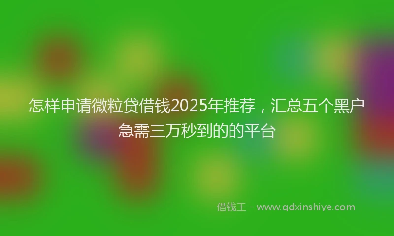 怎样申请微粒贷借钱2025年推荐，汇总五个黑户急需三万秒到的的平台