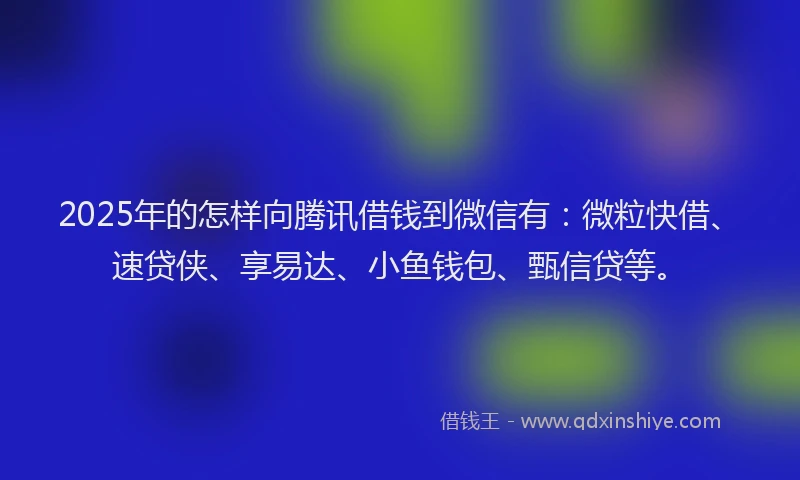2025年的怎样向腾讯借钱到微信有：微粒快借、速贷侠、享易达、小鱼钱包、甄信贷等。