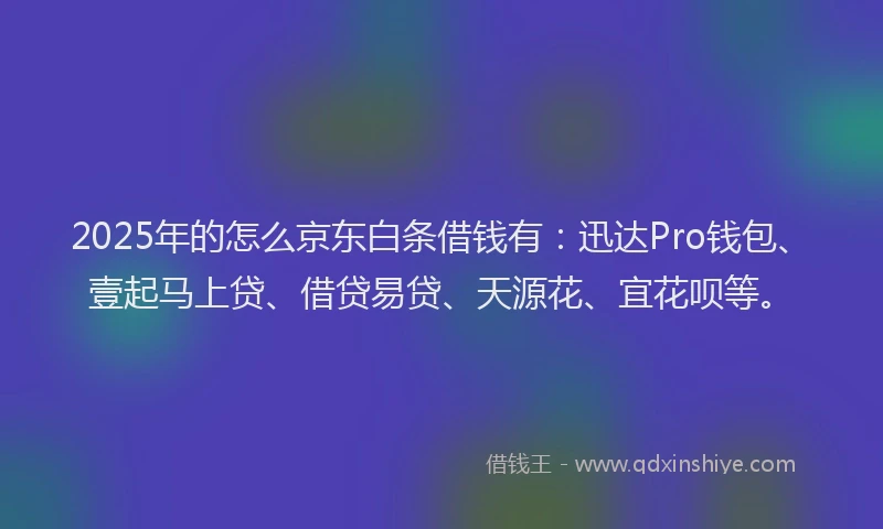 2025年的怎么京东白条借钱有：迅达Pro钱包、壹起马上贷、借贷易贷、天源花、宜花呗等。