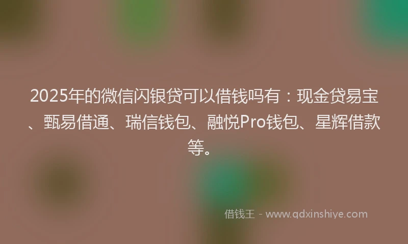 2025年的微信闪银贷可以借钱吗有：现金贷易宝、甄易借通、瑞信钱包、融悦Pro钱包、星辉借款等。