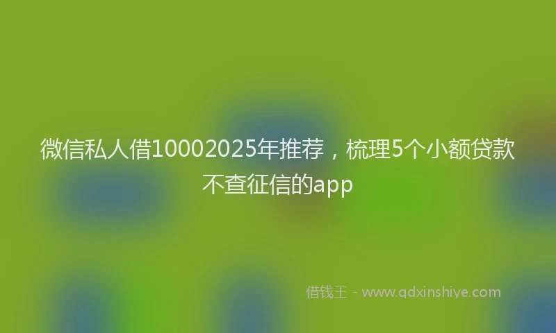 微信私人借10002025年推荐，梳理5个小额贷款不查征信的app