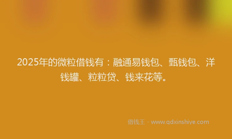 2025年的微粒借钱有：融通易钱包、甄钱包、洋钱罐、粒粒贷、钱来花等。