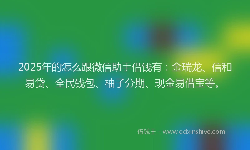 2025年的怎么跟微信助手借钱有：金瑞龙、信和易贷、全民钱包、柚子分期、现金易借宝等。