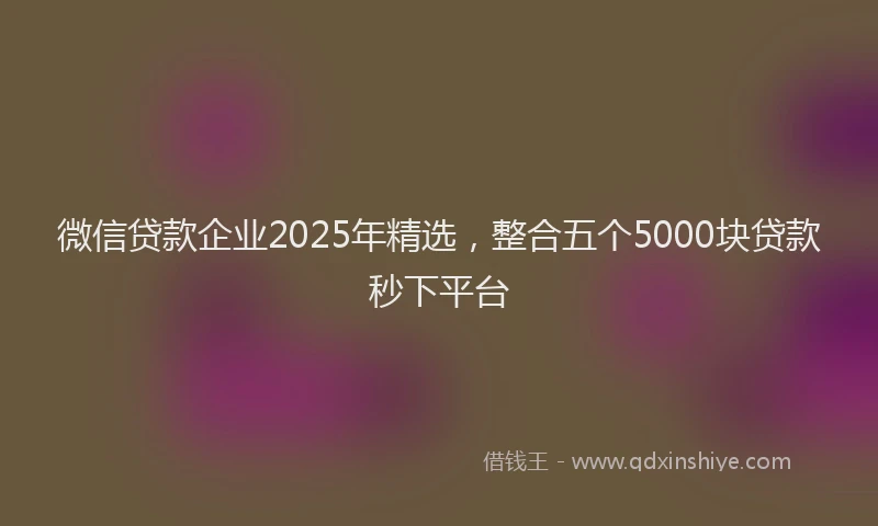微信贷款企业2025年精选，整合五个5000块贷款秒下平台