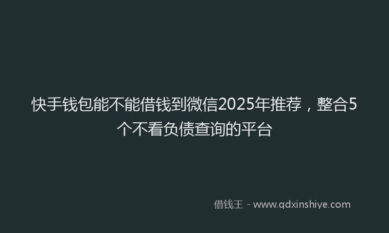 快手钱包能不能借钱到微信2025年推荐，整合5个不看负债查询的平台