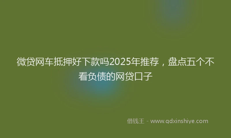 微贷网车抵押好下款吗2025年推荐，盘点五个不看负债的网贷口子