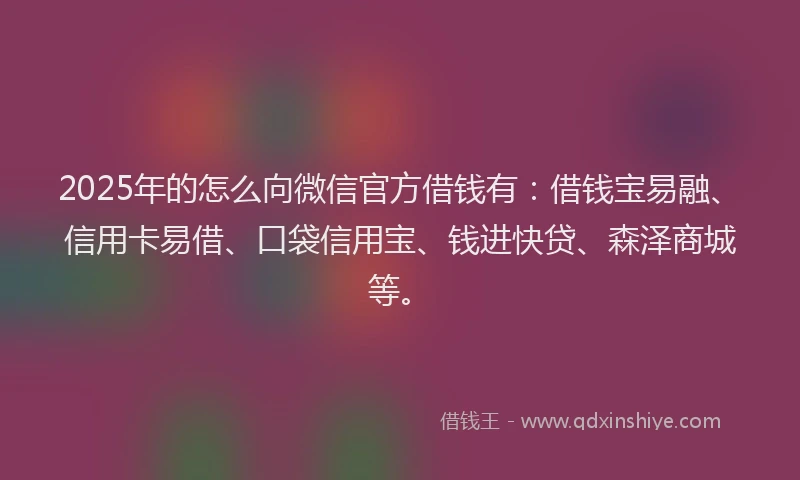 2025年的怎么向微信官方借钱有：借钱宝易融、信用卡易借、口袋信用宝、钱进快贷、森泽商城等。