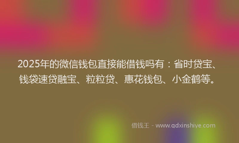 2025年的微信钱包直接能借钱吗有：省时贷宝、钱袋速贷融宝、粒粒贷、惠花钱包、小金鹤等。
