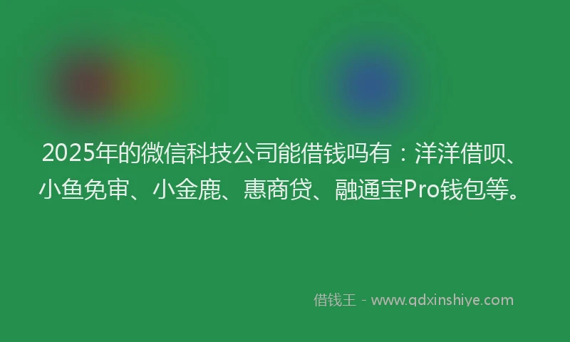 2025年的微信科技公司能借钱吗有：洋洋借呗、小鱼免审、小金鹿、惠商贷、融通宝Pro钱包等。