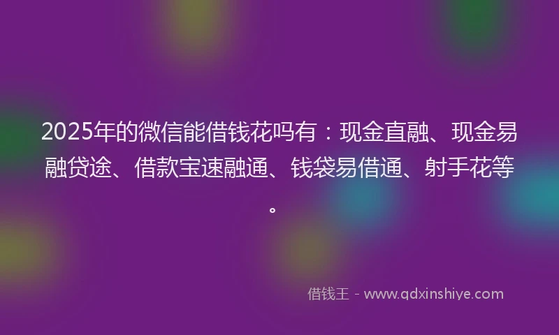 2025年的微信能借钱花吗有：现金直融、现金易融贷途、借款宝速融通、钱袋易借通、射手花等。