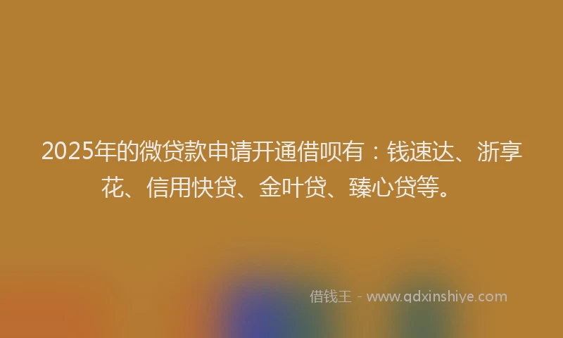 2025年的微贷款申请开通借呗有：钱速达、浙享花、信用快贷、金叶贷、臻心贷等。