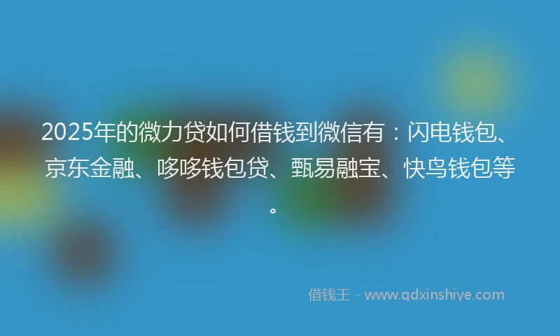 2025年的微力贷如何借钱到微信有：闪电钱包、京东金融、哆哆钱包贷、甄易融宝、快鸟钱包等。