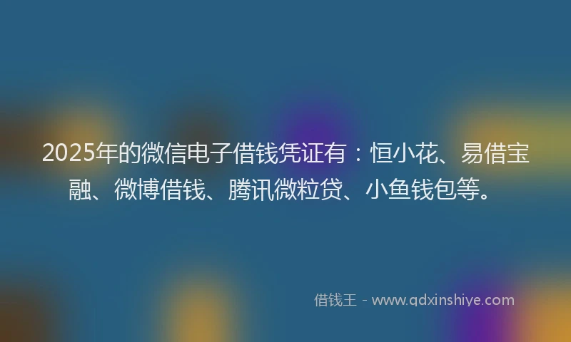 2025年的微信电子借钱凭证有：恒小花、易借宝融、微博借钱、腾讯微粒贷、小鱼钱包等。
