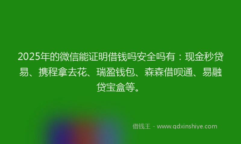 2025年的微信能证明借钱吗安全吗有：现金秒贷易、携程拿去花、瑞盈钱包、森森借呗通、易融贷宝盒等。