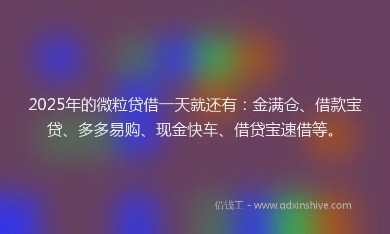 2025年的微粒贷借一天就还有：金满仓、借款宝贷、多多易购、现金快车、借贷宝速借等。