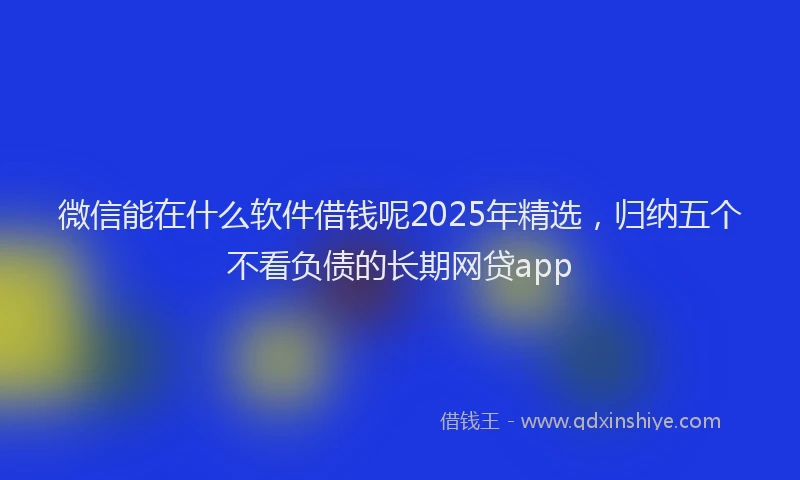 微信能在什么软件借钱呢2025年精选，归纳五个不看负债的长期网贷app
