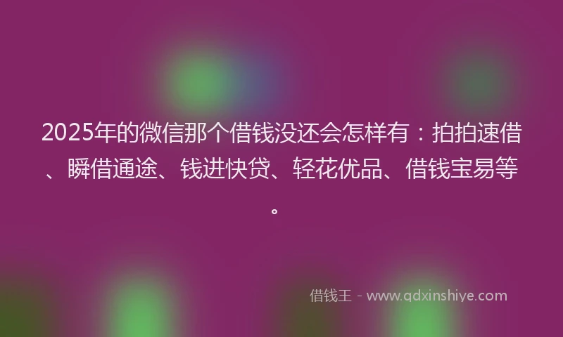 2025年的微信那个借钱没还会怎样有：拍拍速借、瞬借通途、钱进快贷、轻花优品、借钱宝易等。
