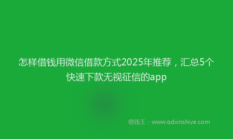 怎样借钱用微信借款方式2025年推荐，汇总5个快速下款无视征信的app