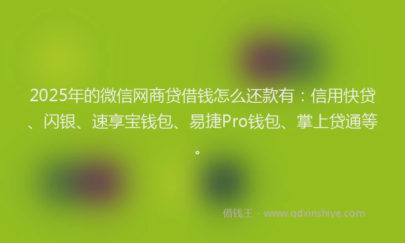 2025年的微信网商贷借钱怎么还款有：信用快贷、闪银、速享宝钱包、易捷Pro钱包、掌上贷通等。