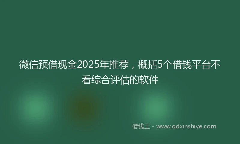 微信预借现金2025年推荐，概括5个借钱平台不看综合评估的软件