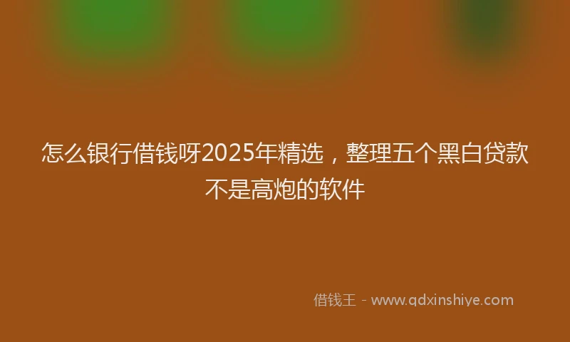 怎么银行借钱呀2025年精选，整理五个黑白贷款不是高炮的软件