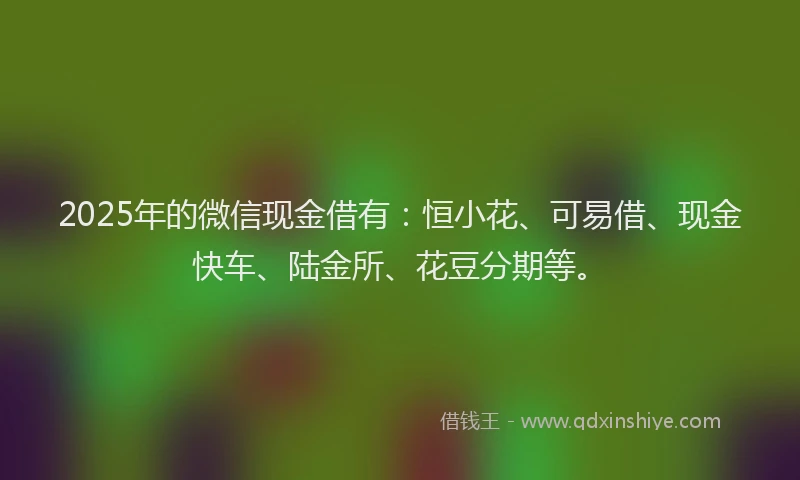 2025年的微信现金借有：恒小花、可易借、现金快车、陆金所、花豆分期等。