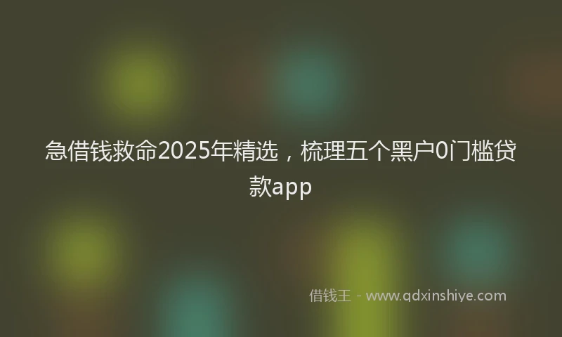 急借钱救命2025年精选，梳理五个黑户0门槛贷款app