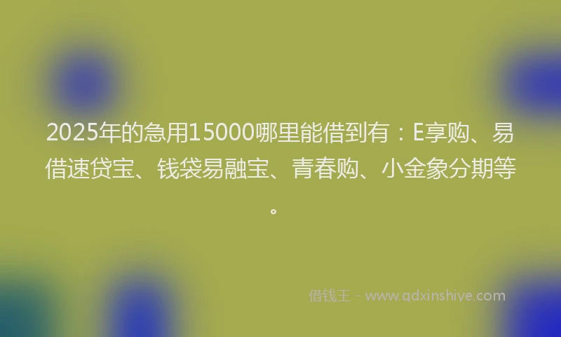 2025年的急用15000哪里能借到有：E享购、易借速贷宝、钱袋易融宝、青春购、小金象分期等。