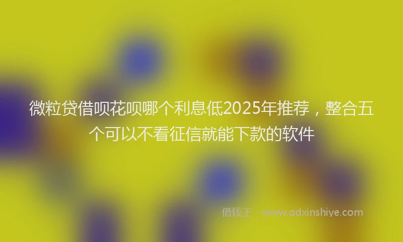 微粒贷借呗花呗哪个利息低2025年推荐，整合五个可以不看征信就能下款的软件