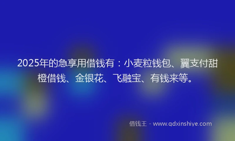 2025年的急享用借钱有：小麦粒钱包、翼支付甜橙借钱、金银花、飞融宝、有钱来等。