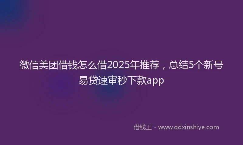 微信美团借钱怎么借2025年推荐，总结5个新号易贷速审秒下款app