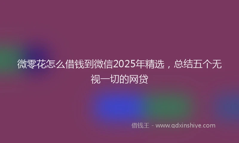 微零花怎么借钱到微信2025年精选，总结五个无视一切的网贷