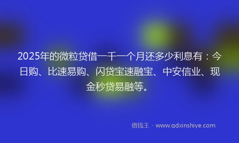 2025年的微粒贷借一千一个月还多少利息有：今日购、比速易购、闪贷宝速融宝、中安信业、现金秒贷易融等。