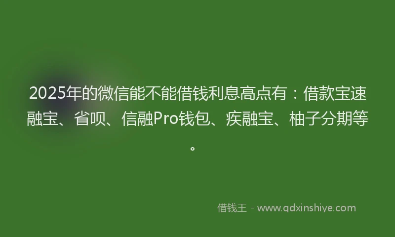 2025年的微信能不能借钱利息高点有：借款宝速融宝、省呗、信融Pro钱包、疾融宝、柚子分期等。