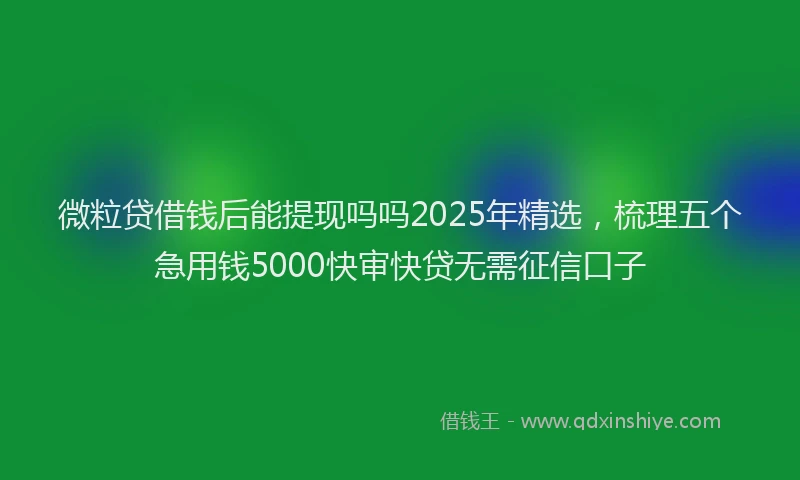 微粒贷借钱后能提现吗吗2025年精选，梳理五个急用钱5000快审快贷无需征信口子